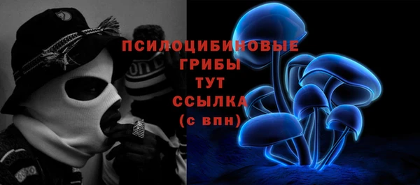 a pvp Вяземский