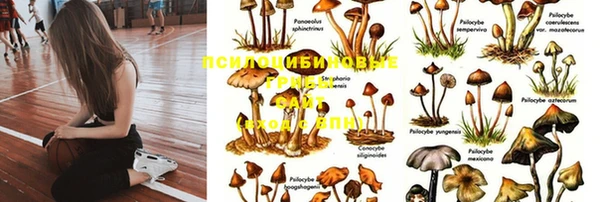 марки lsd Вязники