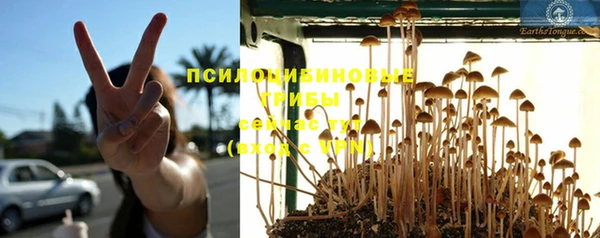 мет Вязьма